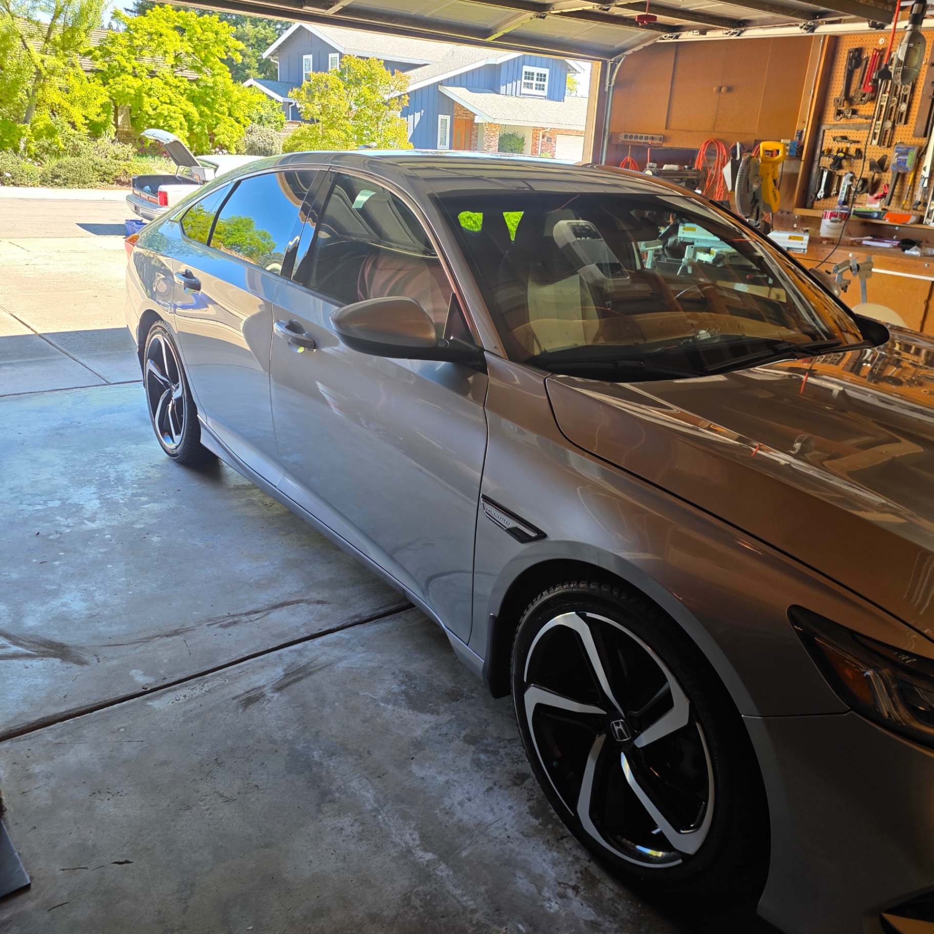 Detail X mobile detailing job — exterior close-up on freshly waxed panel